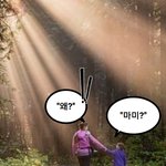 <b>시인</b> 김남열의 네컷만화 ''3개 국어''