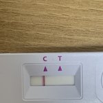 얘들아 이거 진단<b>키트</b> 한줄 맞지