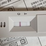 얘들아 이거 <b>양성</b>이냐??????
