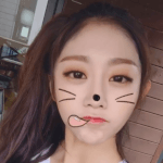 사막여우 여돌 &amp; 여배우
