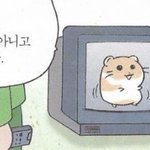 [댓글부탁해] 짝남 <b>수능</b> <b>응원</b> <b>선물</b> 직접 주고싶은데