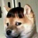 인스스에 스윗한녀 <b>이랫</b>는데 ㄱㅊ음?