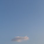 [꼭조언부탁] 다들 선배랑 <b>밥약</b> 어떻게 해…??ㅠㅠ