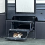 [드루와] 야야야야 대학 <b>과선배</b>한테 아침인사 할말???????