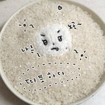 판에 <b>정상</b>적인 사람 몇 없나...?
