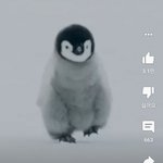 [스키즈] ㅇㅌㅂ에서 본건데..