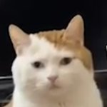 <b>추합</b> 예비번호 원래 주말에는 갱신 안되나..?
