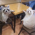 우리 <b>윗집</b> 강아지 때리는거같음