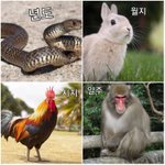 <b>내사</b>주좀 봐줘라