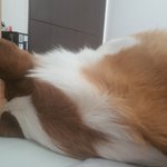 [댓글부탁해] 현재 <b>내</b> 눈 <b>앞</b>에있는거