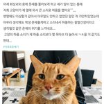 [드루와] 서울 사는 애들아 질문있어 도와줘