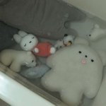 [드루와] 근데 <b>허수</b>픽 인강강사는