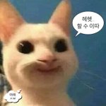 중단발보다 머리 살짝 짧은데 <b>헤어</b>스타일 ㅊㅊ좀