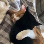 [드루와] 우리반에 12명이 170cm<b>이상임</b>