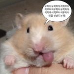 솔직히 페미인사람 알아볼수 있음?