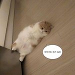 ㅈㄴ<b>현타</b>와서 눈물나옴
