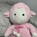 대형 <b>양</b> 인형 있는 분? (사진<b>o</b>)