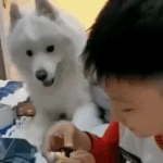 <b>교회</b> 다니는 애들한테 궁금한거 있음