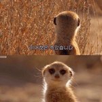 [드루와] 시험기간때 말고 매일 <b>복습</b>하는사람??