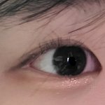 <b>속</b><b>쌍</b>눈은 가까이서 찍으면
