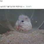 자기 <b>엽사</b>나 과사에 트라우마 있는 애 있어?