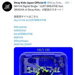 [스키즈] 다들 들어봤어??