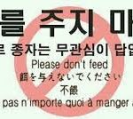 먹금 좀 하고 글 신고 <b>하자</b>