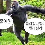 마더텅 추천해준 판녀들아 고맙다❤️