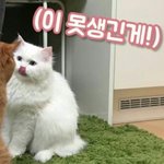 ㅋㅋ