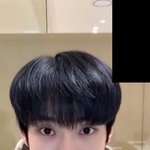 [NCT칠프] 도프들 <b>집합</b>