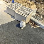 그림자가 <b>하트</b>일<b>수</b>가 있나