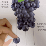 [방탄소년단] <b>다주</b>라