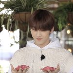 [TXT] 이거 약간