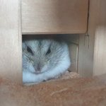 나 앞트임 <b>누호</b> 심해?