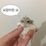 언니들 ㅜㅜ <b>기숙</b>사생 예비고1 팁좀