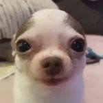 근데 반<b>배정</b> 망해<b>두</b> ㄱㅊ은게