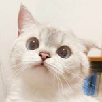 근데 우리나라도 전쟁에서 <b>안전</b>한 건 아님......