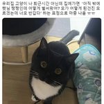 나 재수하라는 <b>신의</b> 계시인가봄