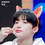 오밀조밀해서 더 <b>조화</b>로운 이목구비