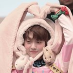 <b>집</b>에 데려가고싶은 <b>아기</b>토끼들 모음