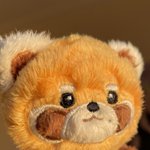 [NCT칠프] 나 강경쿠로미파인데