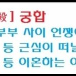병쫑간 <b>망상</b>장애 모음전