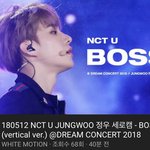 [NCT칠프] 오우 정우 드콘 보스 세로캠 올라왔다