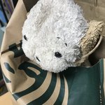 [댓글부탁해] 우리집 21살짜리 강아지 <b>인형</b> 찾아요..