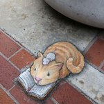 거리에 생기를 불어 넣어준 <b>초크</b> 아트