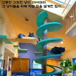 20마리의 냥이를 위한 <b>집사</b>의 완벽한 설계
