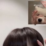 [NCT칠프] <b>치카</b>봄봄 보고