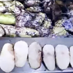 썩은 <b>배추</b>·곰팡이 무 '명장 김치'…김순자 대표 "공장 폐쇄"