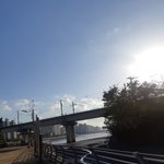 [댓글부탁해] 각 혈액형별 많은 mbti가 있나?