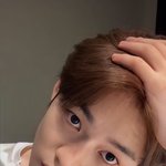 [NCT드림] 이거 종쳔러가 ㄹㅇ 쳐다보는거 같아